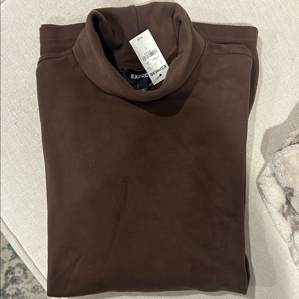 Express Brown Turtleneck Sweater